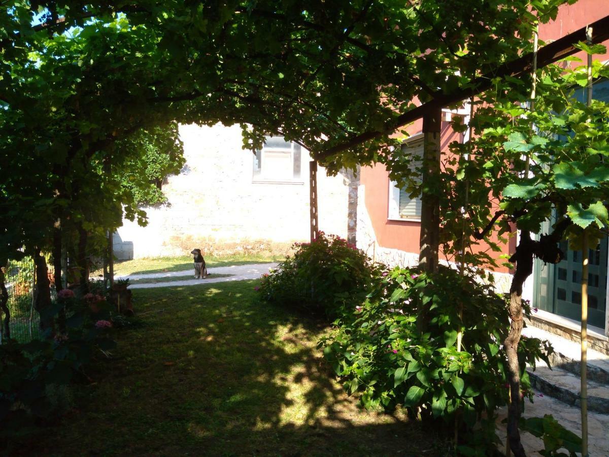 Bella Di Notte Apartment San Giorgio a Liri Bagian luar foto